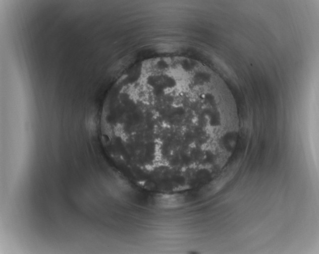 X0000111830277200908061201