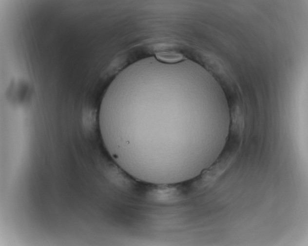 X0000111830278200908061202