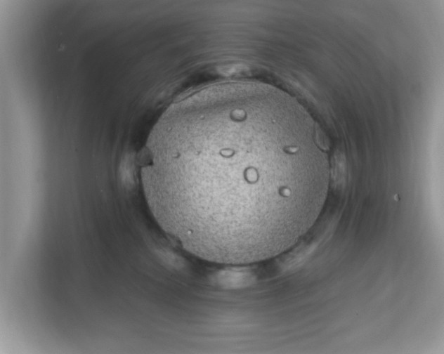X0000111830280200908061202