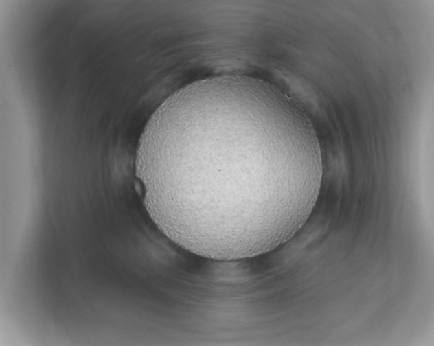 X0000111830281200908061202
