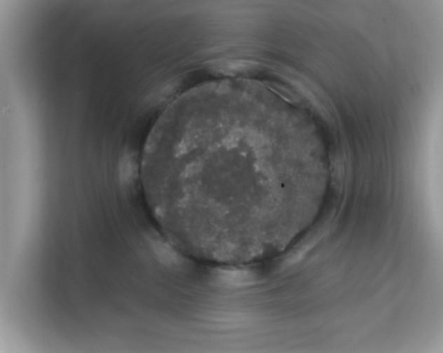 X0000111830284200908061202