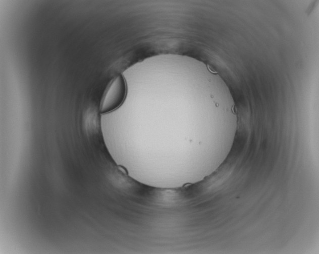 X0000111830287200908061202