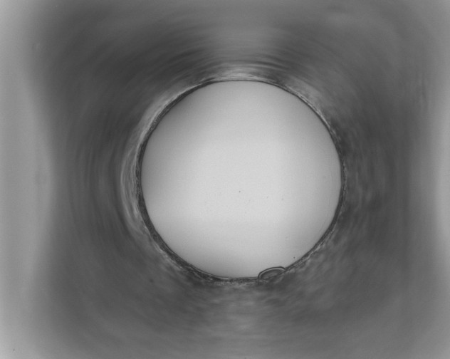 X0000111830289200908061201