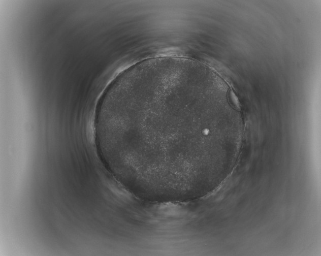 X0000111830290200908061201