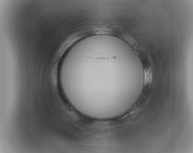 X0000111830291200908061201