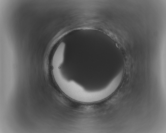 X0000111830295200908061201