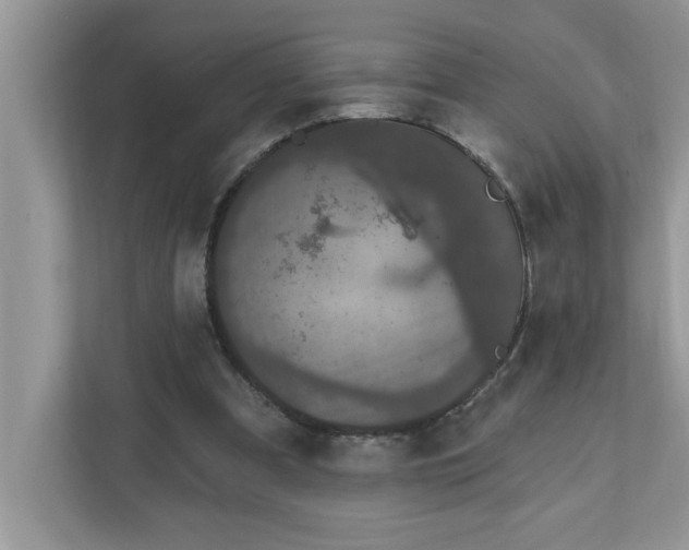 X0000111830297200908061201