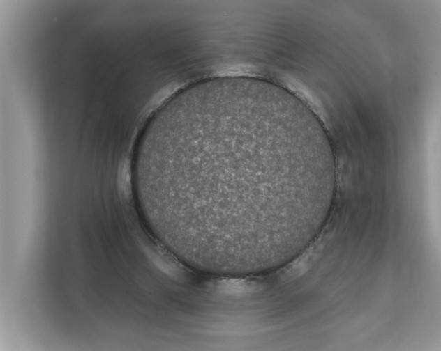 X0000111830298200908061201