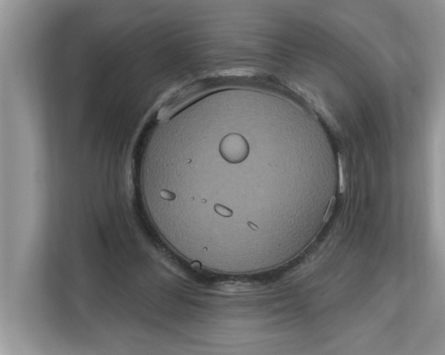 X0000111830300200908061201