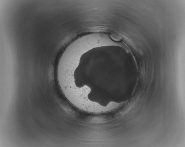 X0000111830303200908061201