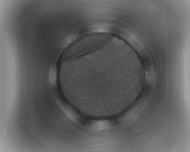 X0000111830304200908061201