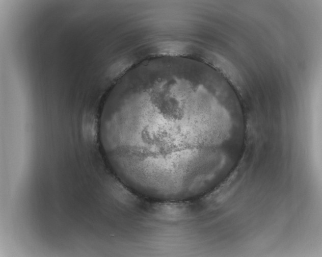 X0000111830305200908061201
