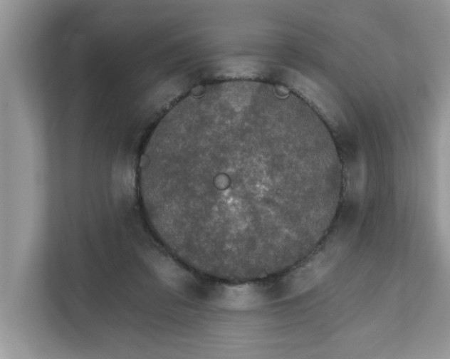 X0000111830309200908061201