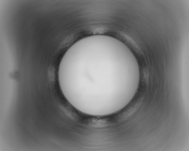 X0000111830311200908061201