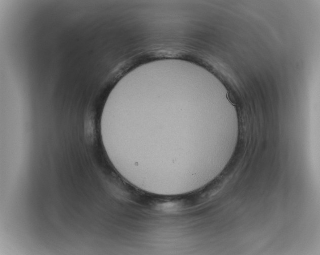 X0000111830312200908061201