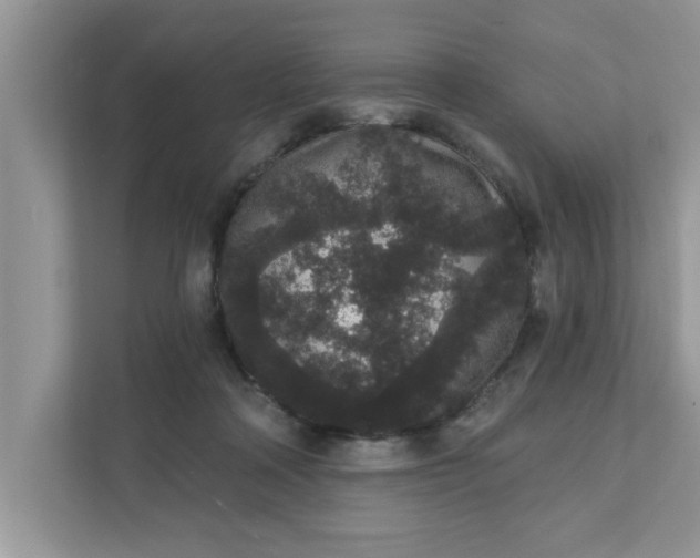 X0000111830314200908061201