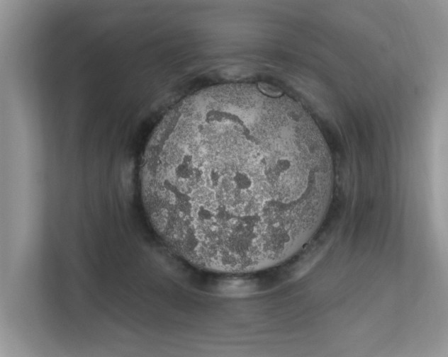 X0000111830319200908061201