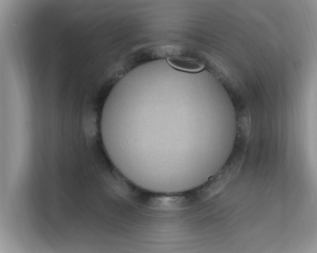 X0000111830323200908061200