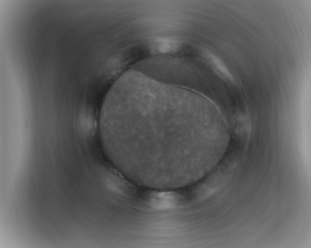 X0000111830324200908061200