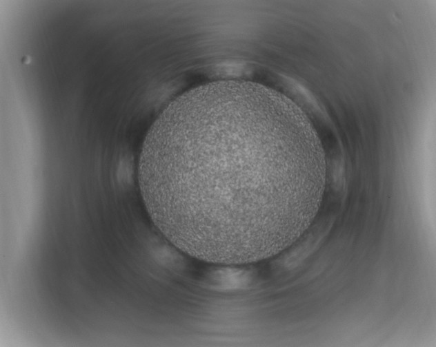 X0000111830326200908061200