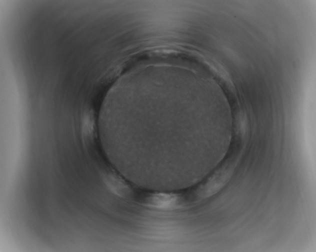 X0000111830328200908061200