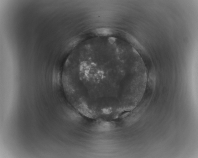 X0000111830330200908061200