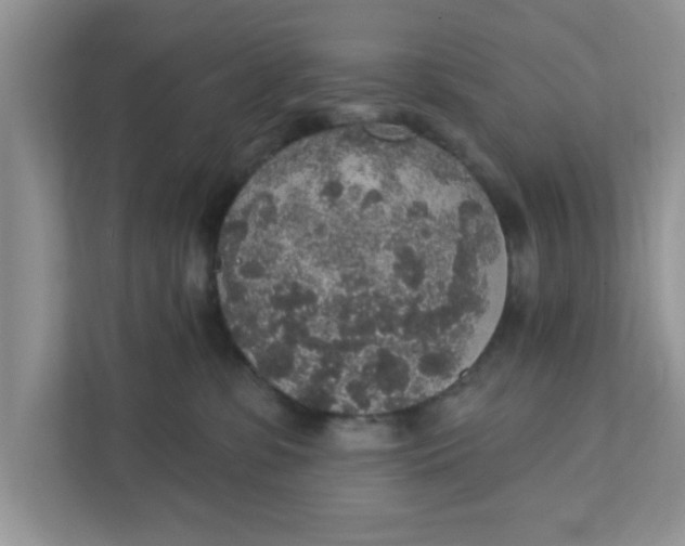 X0000111830331200908061200