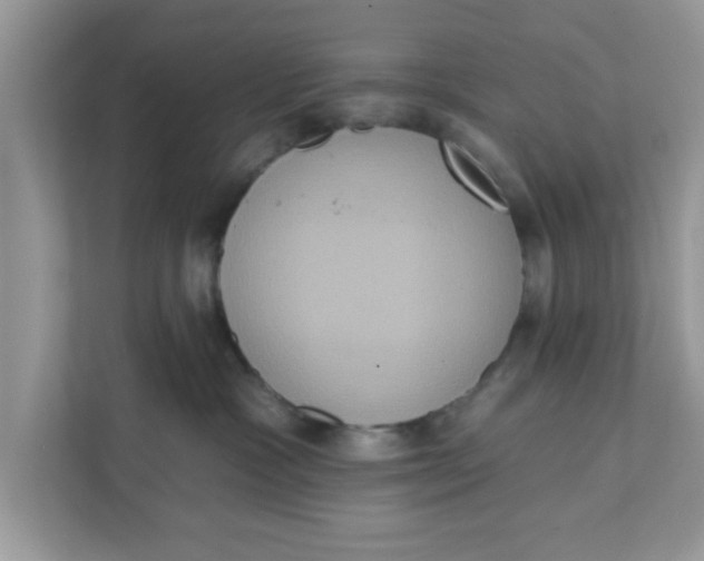 X0000111830333200908061200