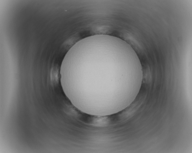 X0000111830334200908061200