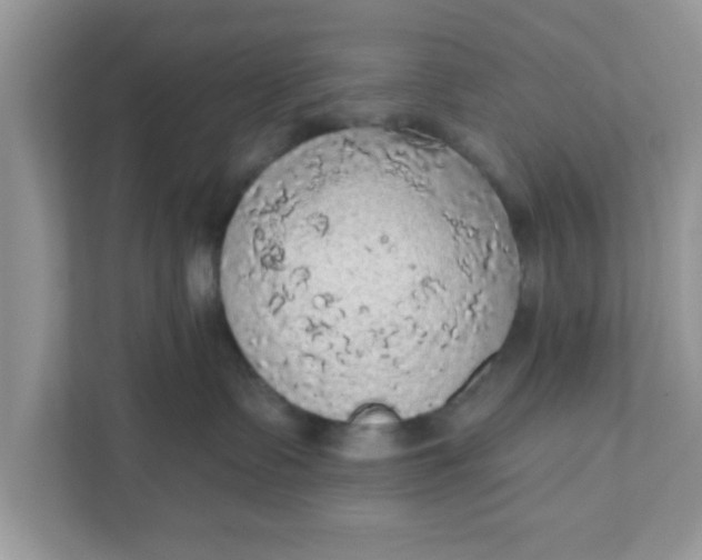 X0000111830335200908061200