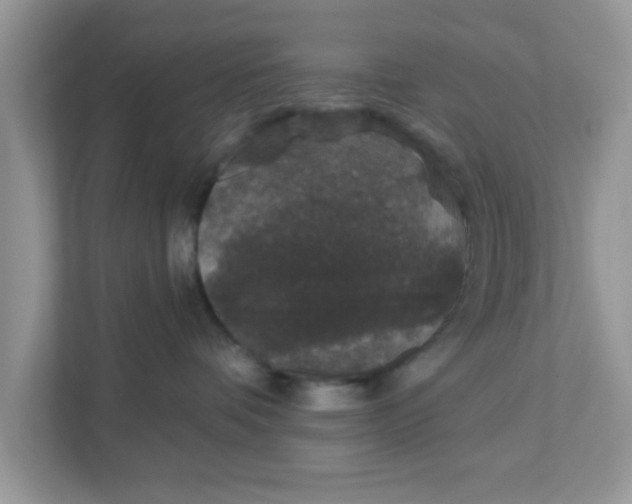 X0000111830336200908061200