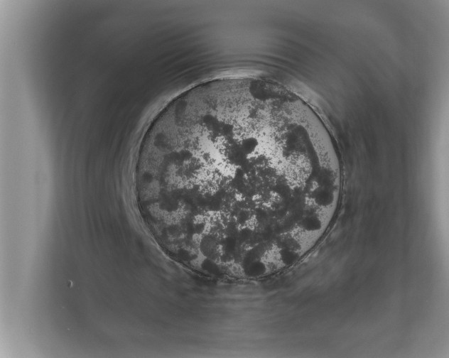 X0000111830337200908061200