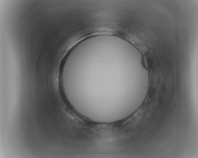X0000111830338200908061200