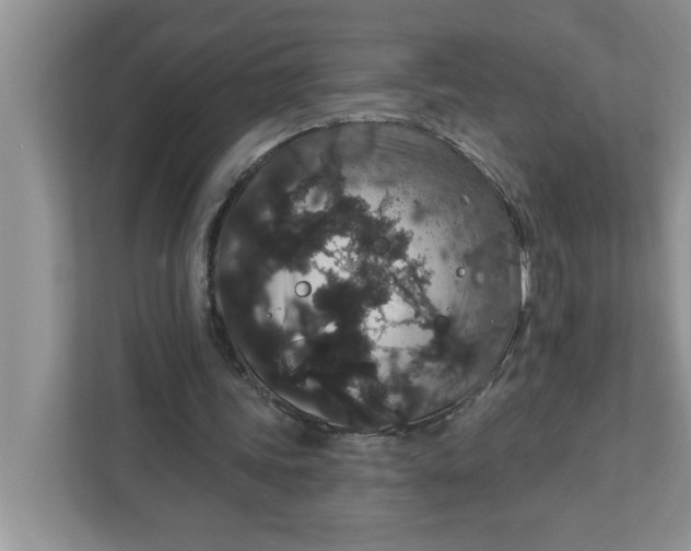 X0000111830339200908061200