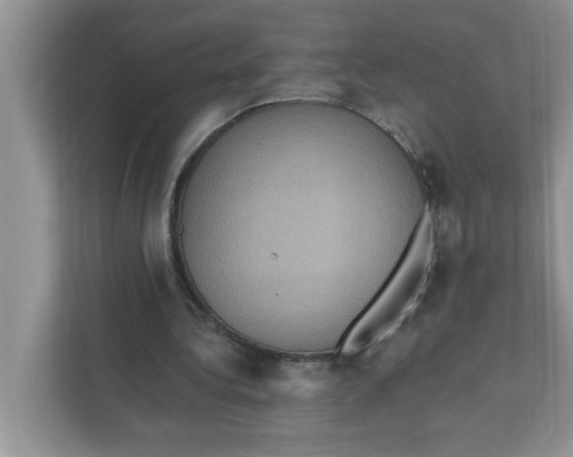 X0000111830340200908061200