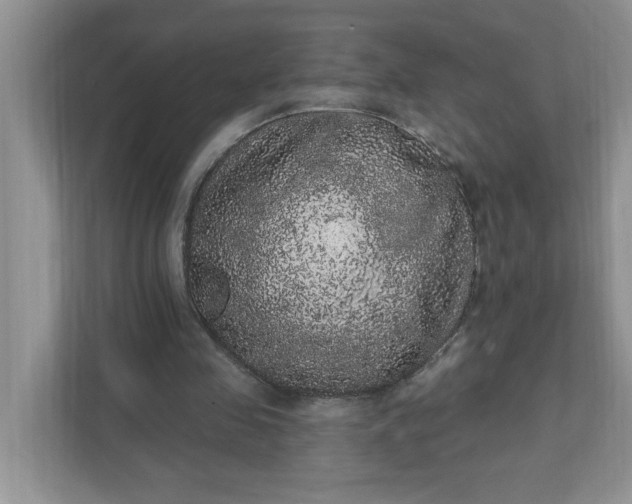 X0000111830341200908061200