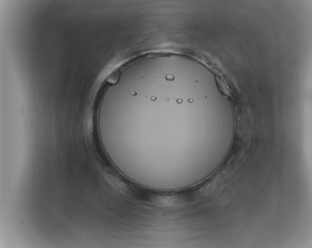 X0000111830344200908061200