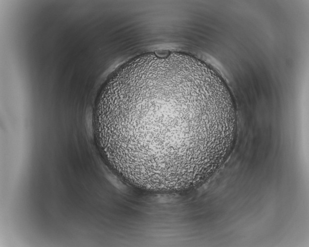 X0000111830345200908061200