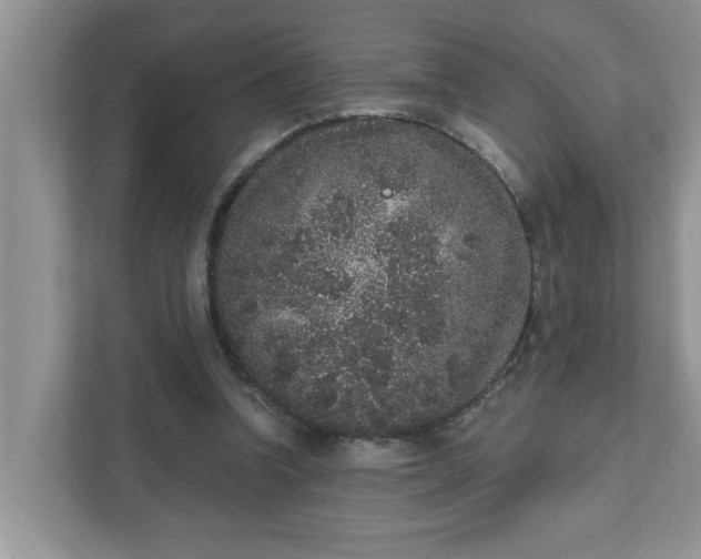 X0000111830346200908061200