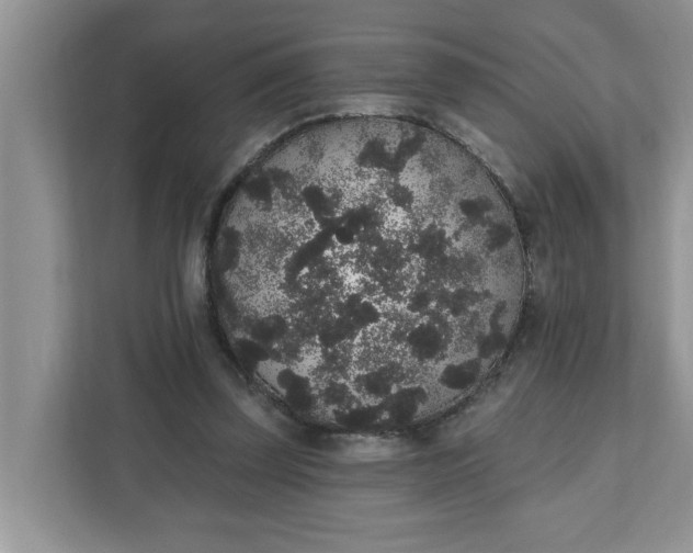 X0000111830347200908061200