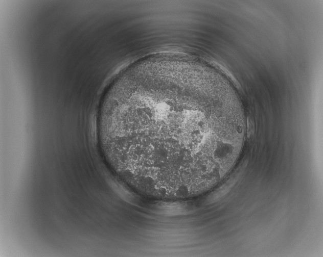 X0000111830349200908061200