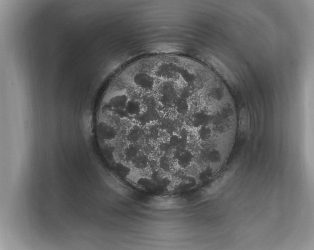 X0000111830351200908061200