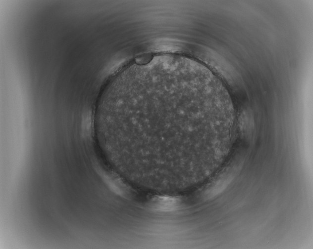 X0000111830352200908061200