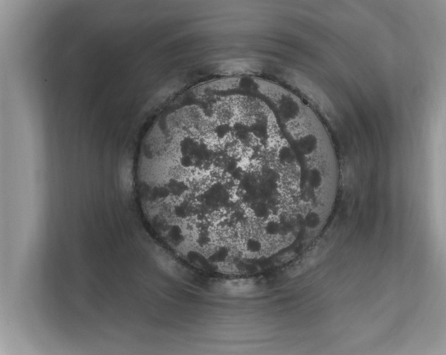 X0000111830353200908061200