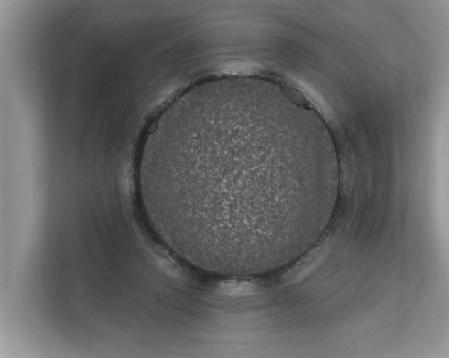 X0000111830354200908061200