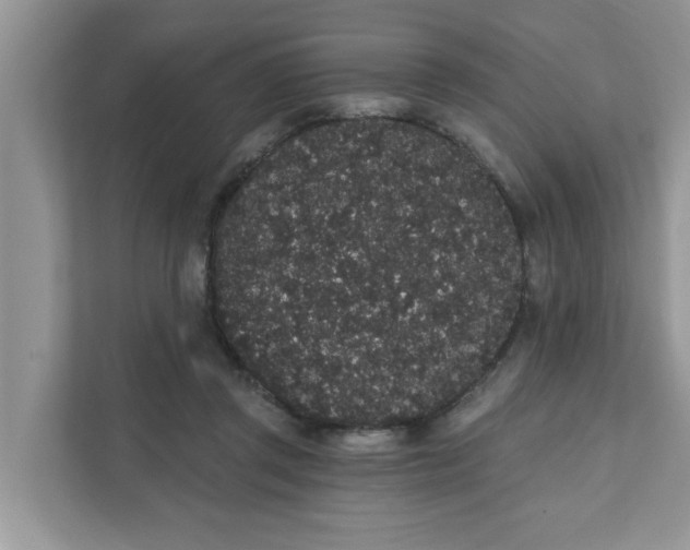 X0000111830357200908061200