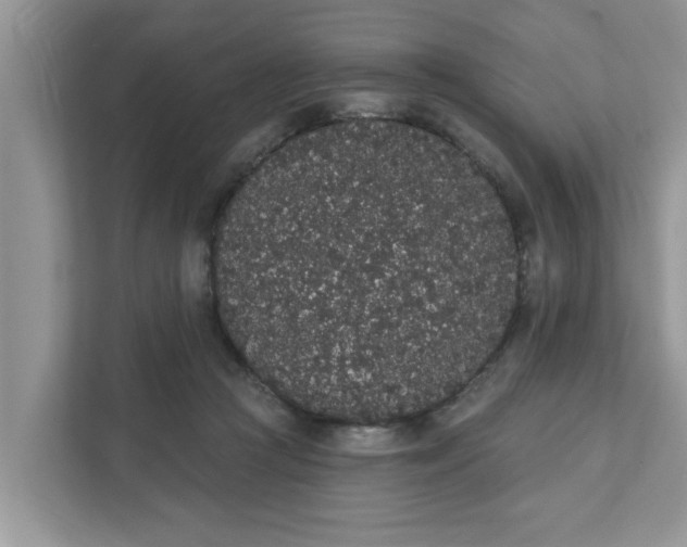 X0000111830361200908061200