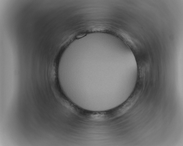 X0000111830362200908061200
