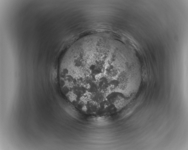 X0000111830365200908061200