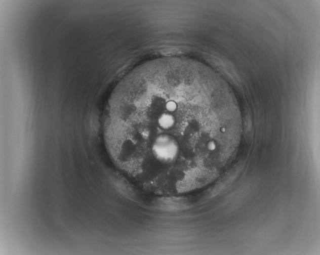 X0000111830367200908061200